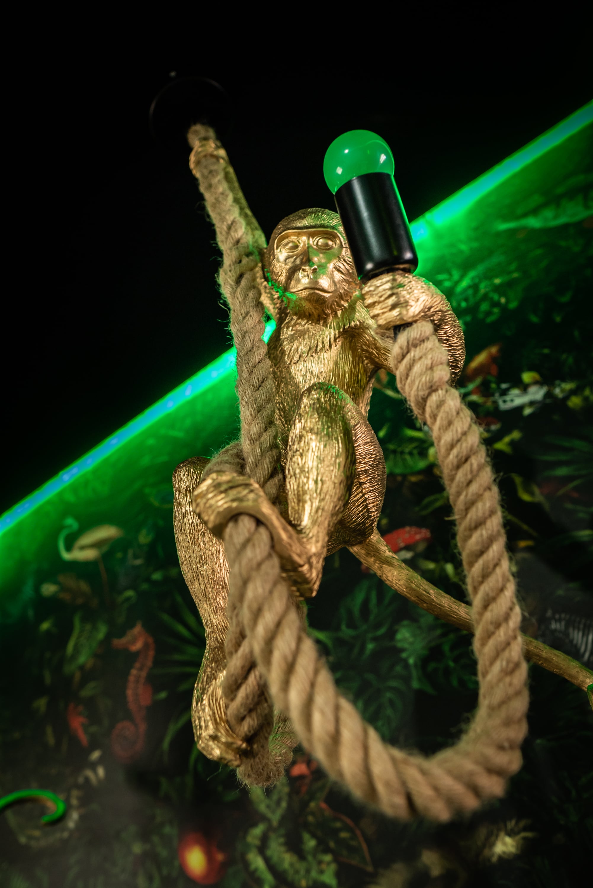 Фотография площадки Караоке лофт в центре Москвы в стиле Джунгли 4