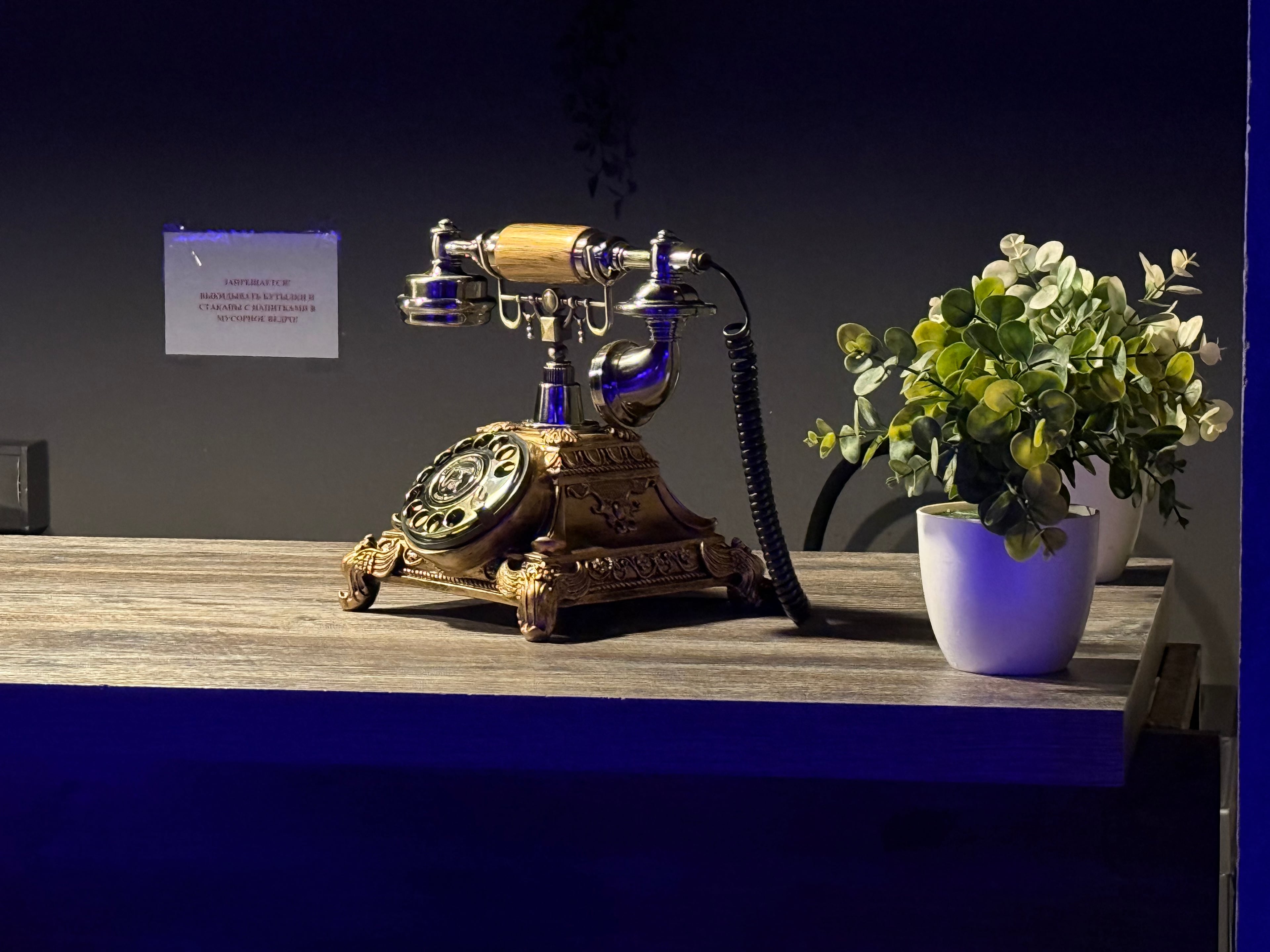 Фотография площадки Яркое, атмосферное и уютное лофт-пространство 2