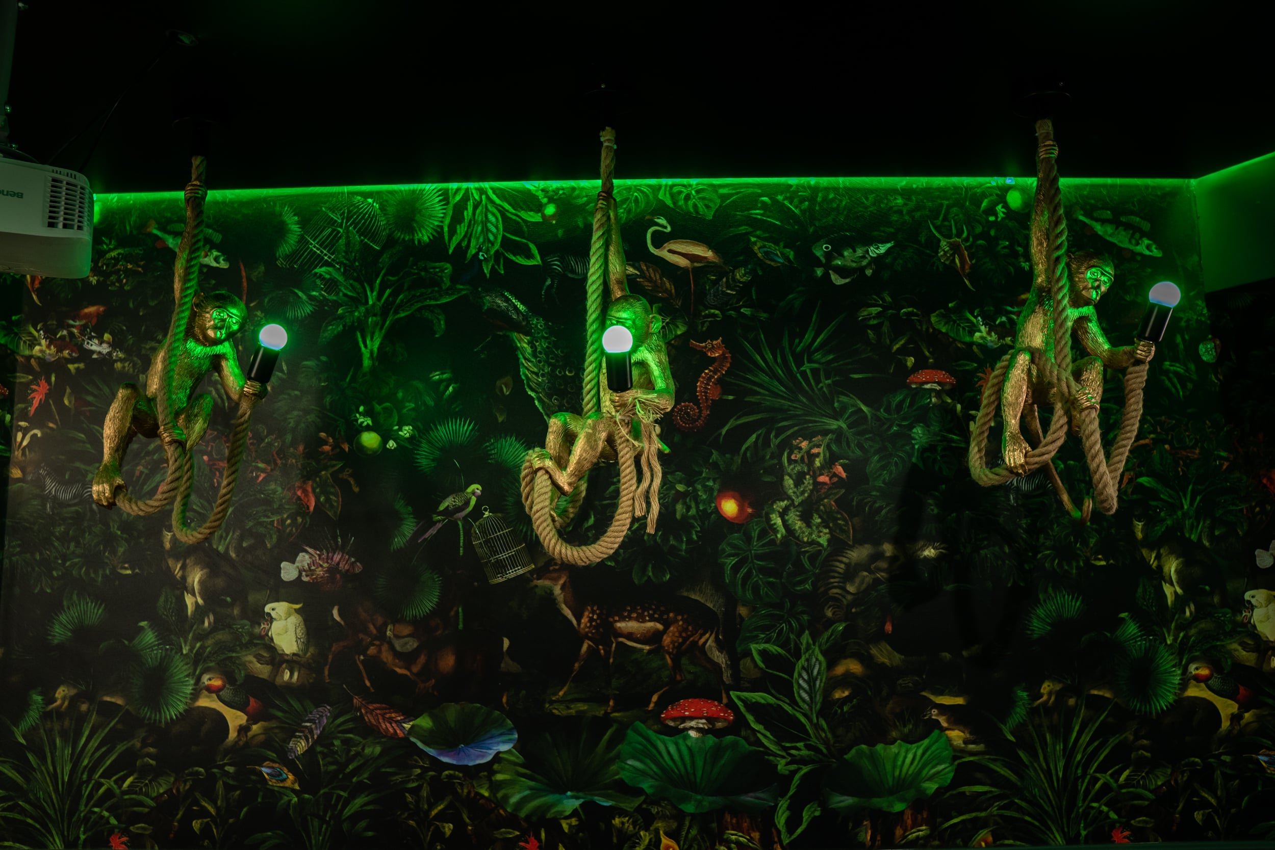 Фотография площадки Караоке лофт в центре Москвы в стиле Джунгли 2